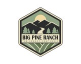 https://www.logocontest.com/public/logoimage/1616359689big pine.jpg